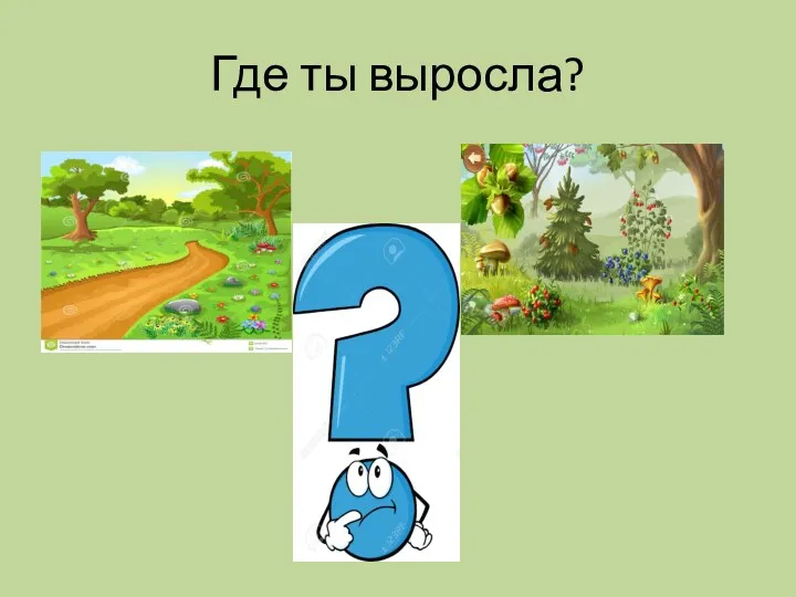 Где ты выросла?