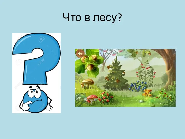 Что в лесу?