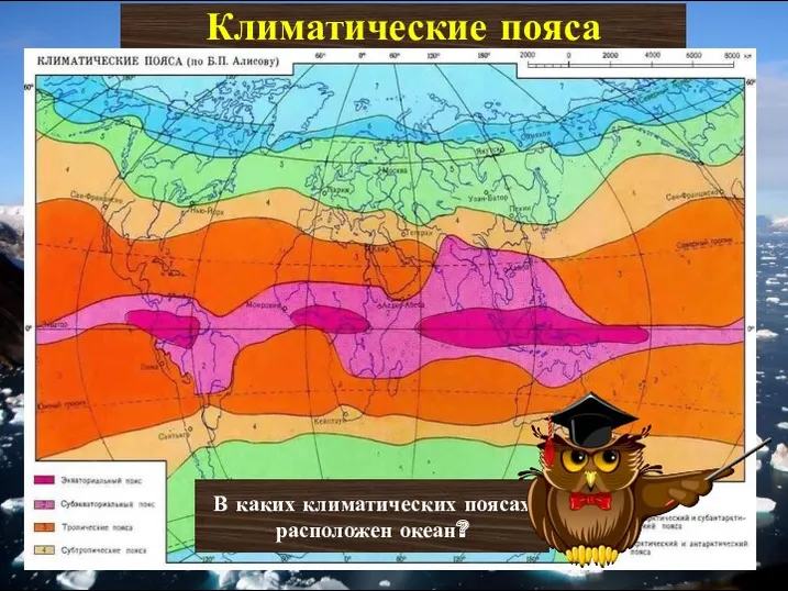 В каких климатических поясах расположен океан? Климатические пояса