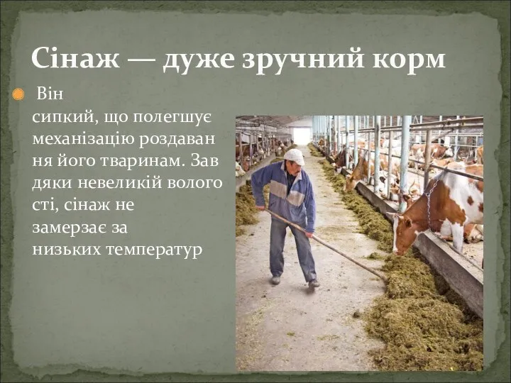 Він сипкий, що полегшує механізацію роздавання його тваринам. Завдяки невеликій