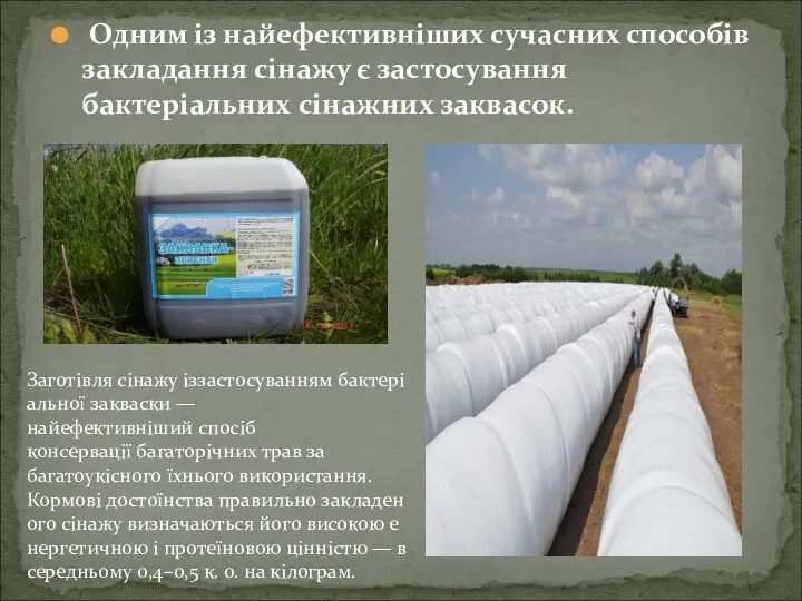 Одним із найефективніших сучасних способів закладання сінажу є застосування бактеріальних