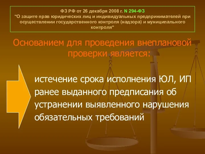 ФЗ РФ от 26 декабря 2008 г. N 294-ФЗ "О защите прав юридических