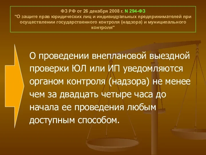 ФЗ РФ от 26 декабря 2008 г. N 294-ФЗ "О защите прав юридических