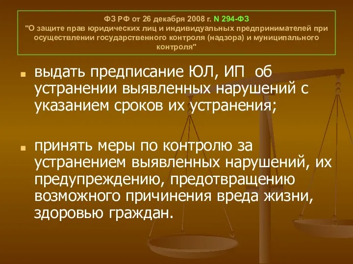 ФЗ РФ от 26 декабря 2008 г. N 294-ФЗ "О защите прав юридических