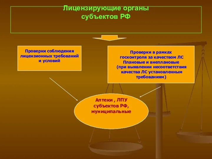 Лицензирующие органы субъектов РФ Проверки соблюдения лицензионных требований и условий Проверки в рамках