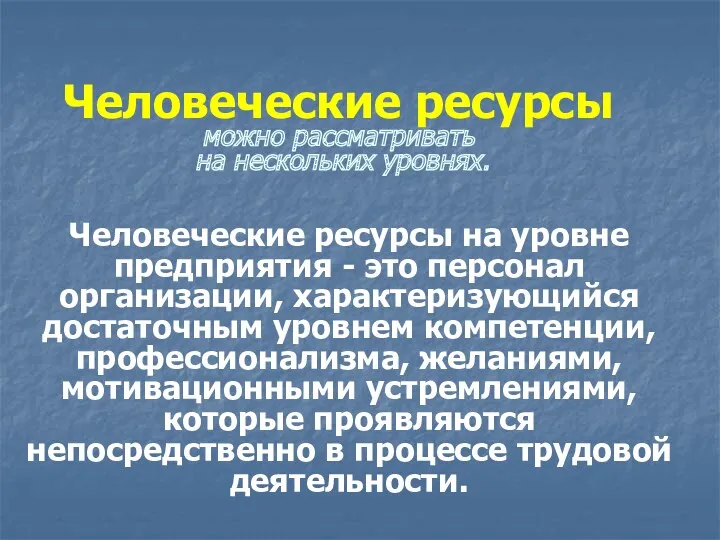 Человеческие ресурсы можно рассматривать на нескольких уровнях. Человеческие ресурсы на