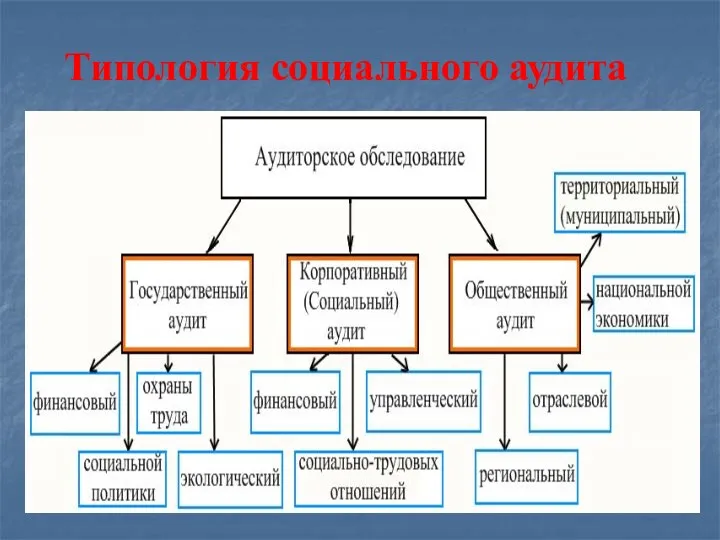 Типология социального аудита