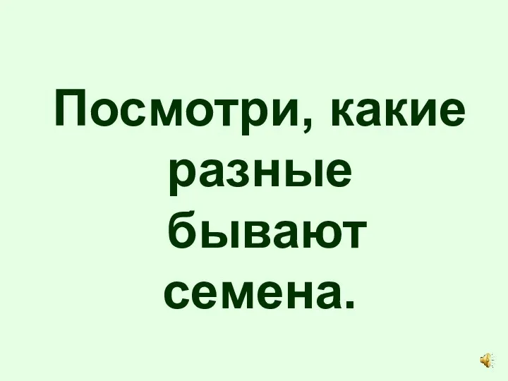 Посмотри, какие разные бывают семена.