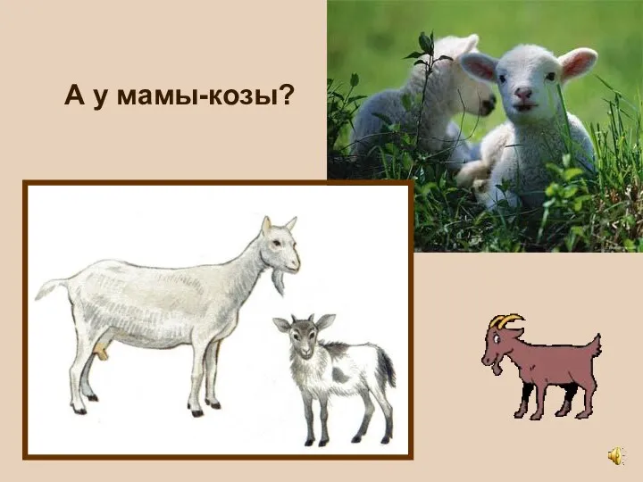 А у мамы-козы?