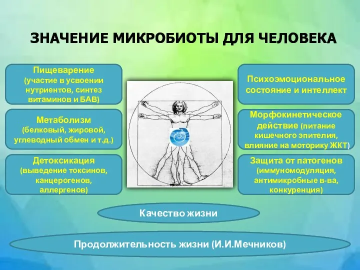 ЗНАЧЕНИЕ МИКРОБИОТЫ ДЛЯ ЧЕЛОВЕКА Пищеварение (участие в усвоении нутриентов, синтез