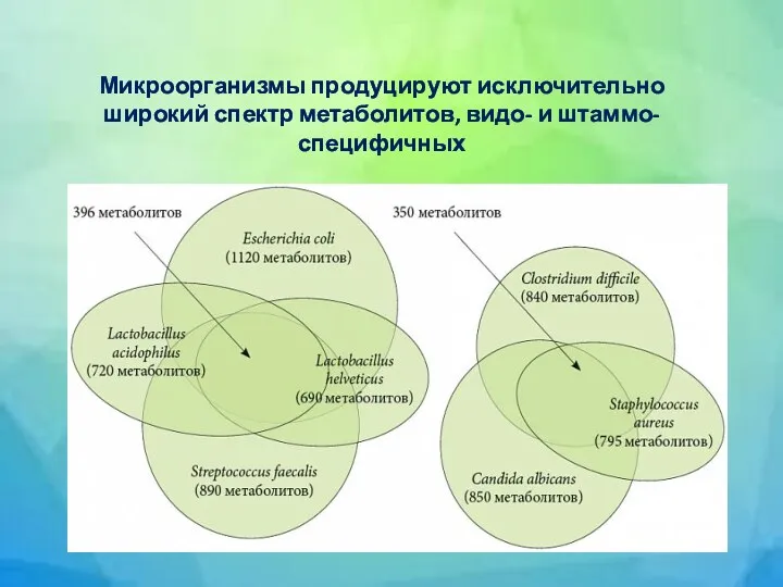 Микроорганизмы продуцируют исключительно широкий спектр метаболитов, видо- и штаммо-специфичных