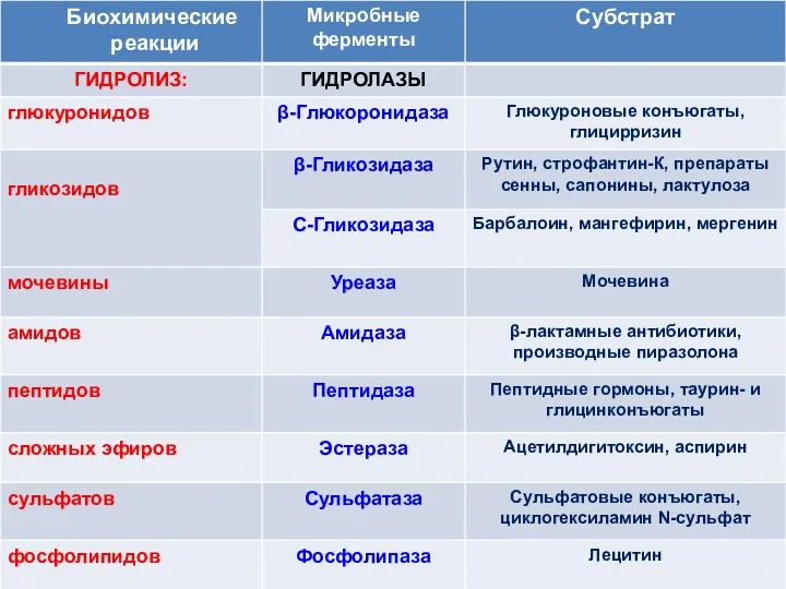 Биохимические реакции, выполняемые микрофлорой пищеварения