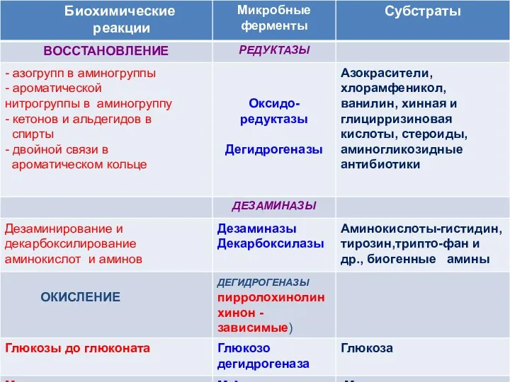 Биохимические реакции, выполняемые микрофлорой пищеварения