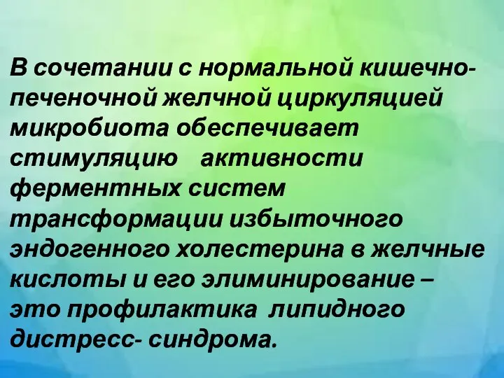 В сочетании с нормальной кишечно-печеночной желчной циркуляцией микробиота обеспечивает стимуляцию