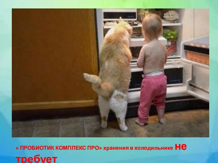 « ПРОБИОТИК КОМПЛЕКС ПРО» хранения в холодильнике не требует