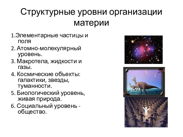 Структурные уровни организации материи 1.Элементарные частицы и поля 2. Атомно-молекулярный