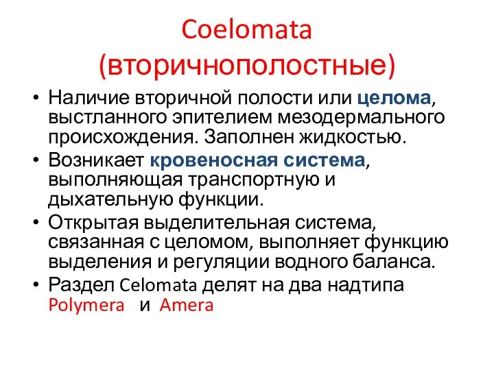 Coelomata (вторичнополостные) Наличие вторичной полости или целома, выстланного эпителием мезодермального