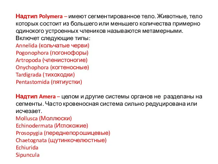 Надтип Polymera – имеют сегментированное тело. Животные, тело которых состоит из большего или