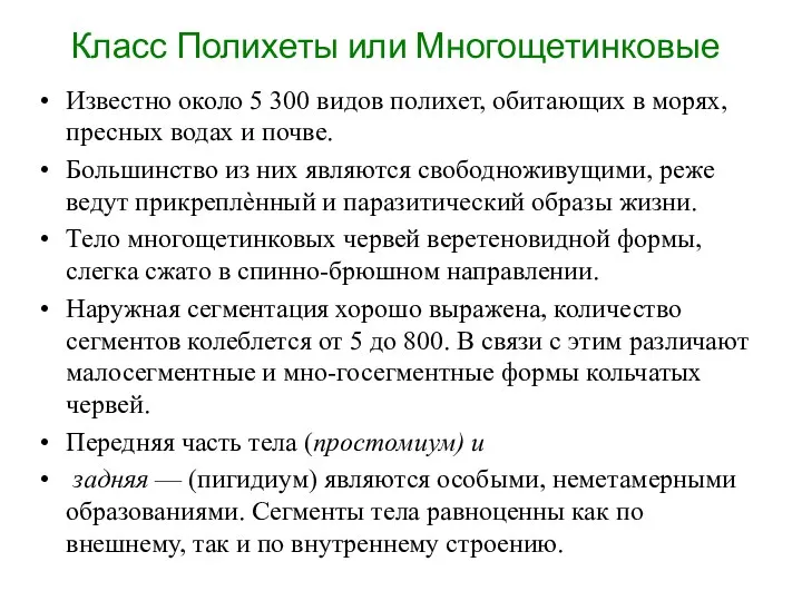 Класс Полихеты или Многощетинковые Известно около 5 300 видов полихет, обитающих в морях,