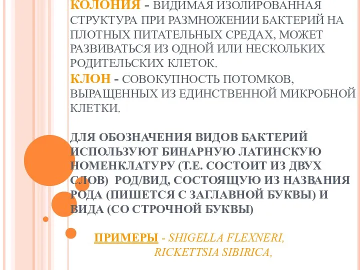 КОЛОНИЯ - ВИДИМАЯ ИЗОЛИРОВАННАЯ СТРУКТУРА ПРИ РАЗМНОЖЕНИИ БАКТЕРИЙ НА ПЛОТНЫХ ПИТАТЕЛЬНЫХ СРЕДАХ, МОЖЕТ