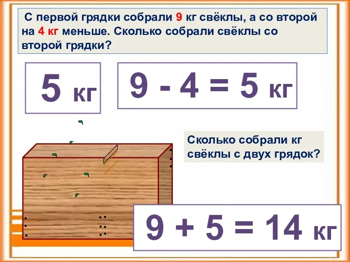 С первой грядки собрали 9 кг свёклы, а со второй