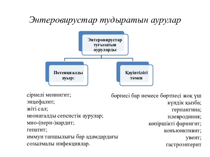 Энтеровирустар тудыратын аурулар сірнелі менингит; энцефалит; жіті сал; неонаталды сепсистік