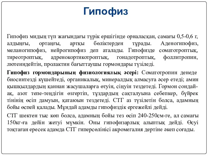 Гипофиз Гипофиз мидың түп жағындағы түрік ершігінде орналасқан, самағы 0,5-0,6