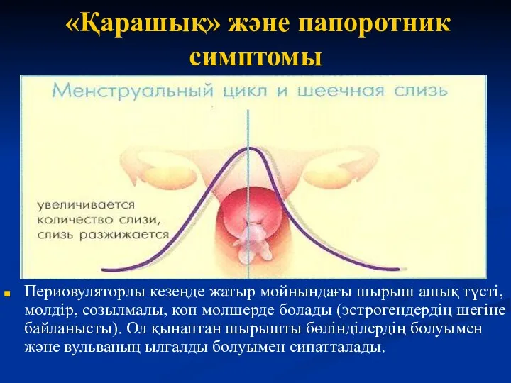 «Қарашық» және папоротник симптомы Периовуляторлы кезеңде жатыр мойнындағы шырыш ашық