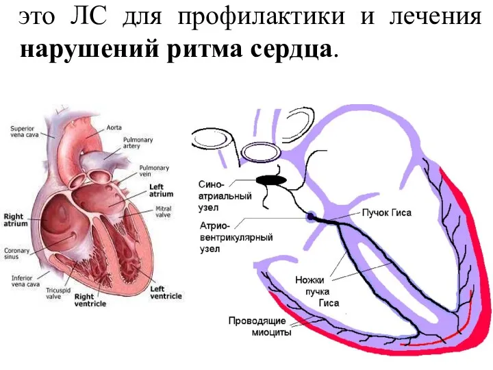 это ЛС для профилактики и лечения нарушений ритма сердца.