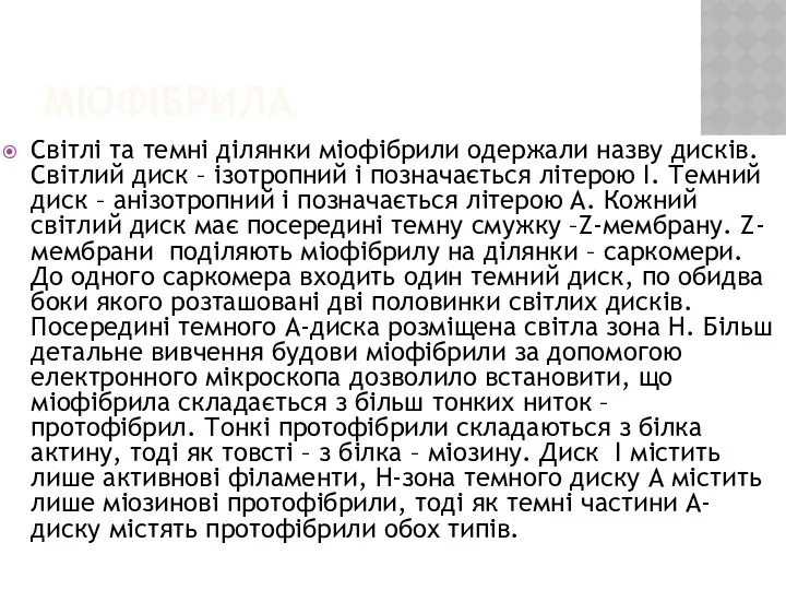 МІОФІБРИЛА Світлі та темні ділянки міофібрили одержали назву дисків. Світлий