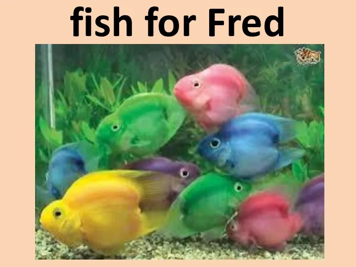 fish for Fred