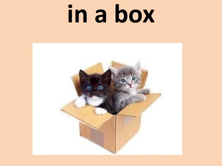 in a box