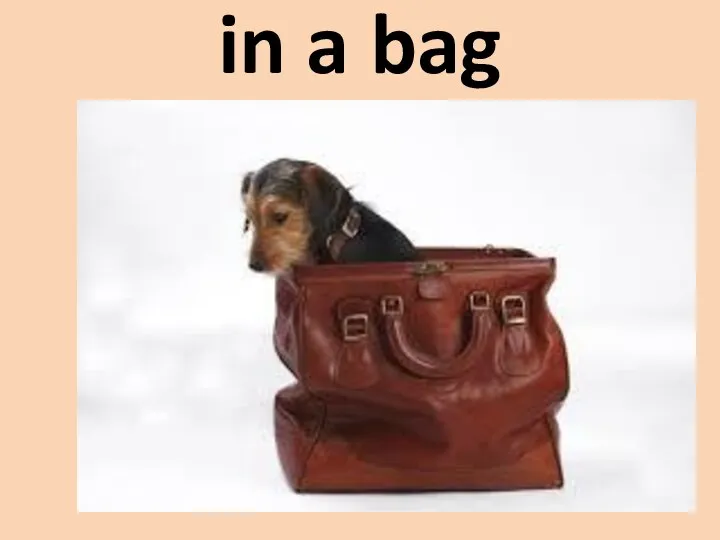 in a bag