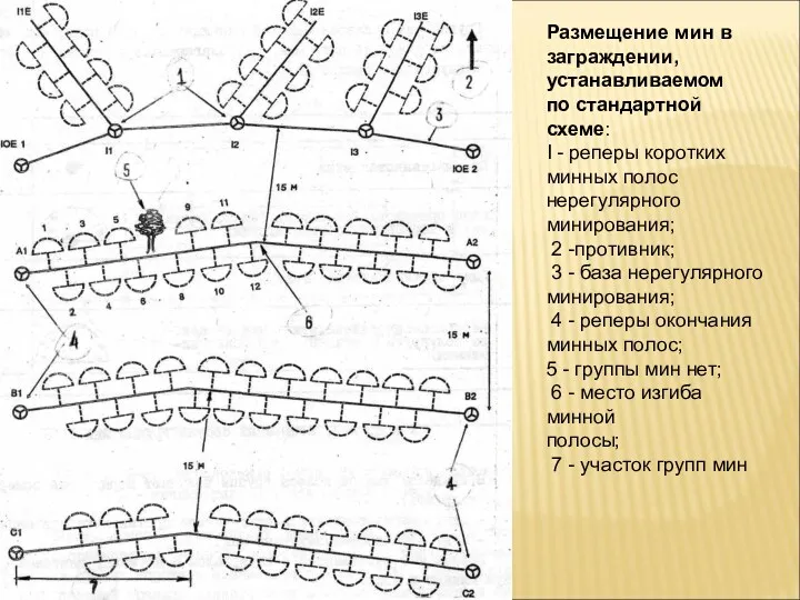 Размещение мин в заграждении, устанавливаемом по стандартной схеме: I -