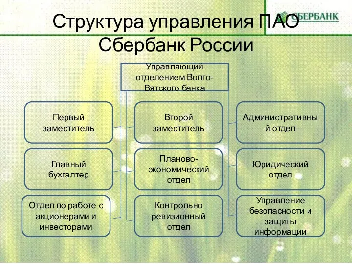 Структура управления ПАО Сбербанк России Управляющий отделением Волго-Вятского банка Первый