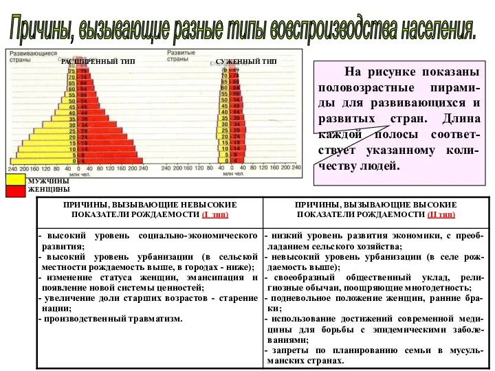 Причины, вызывающие разные типы вовспроизводства населения. На рисунке показаны половозрастные