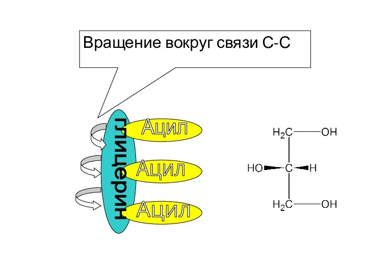 Вращение вокруг связи С-С