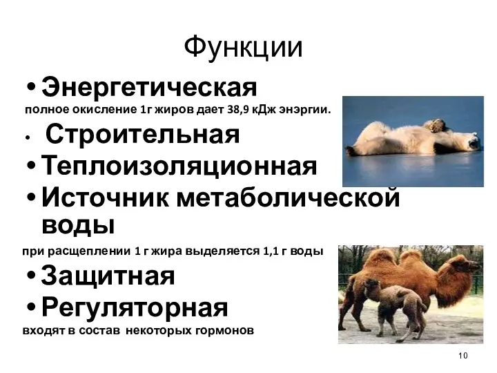 Функции Энергетическая полное окисление 1г жиров дает 38,9 кДж энэргии.