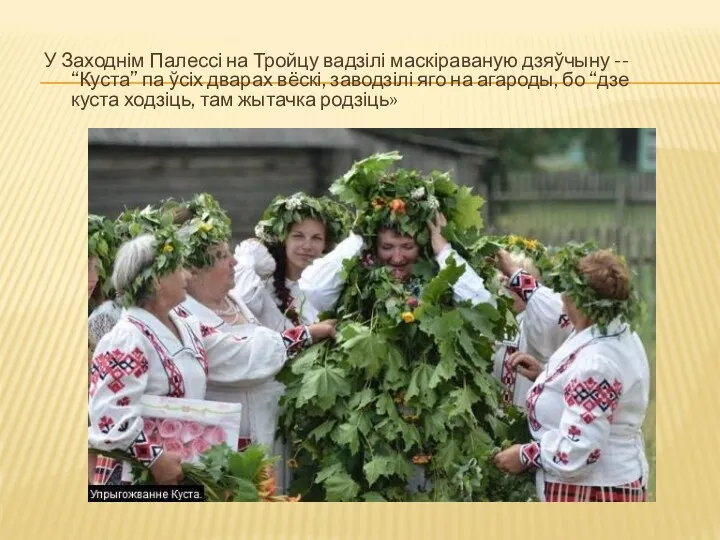 У Заходнім Палессі на Тройцу вадзілі маскіраваную дзяўчыну -- “Куста”