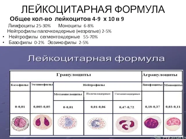 ЛЕЙКОЦИТАРНАЯ ФОРМУЛА Общее кол-во лейкоцитов 4-9 х 10 в 9 Лимфоциты 25-30% Моноциты