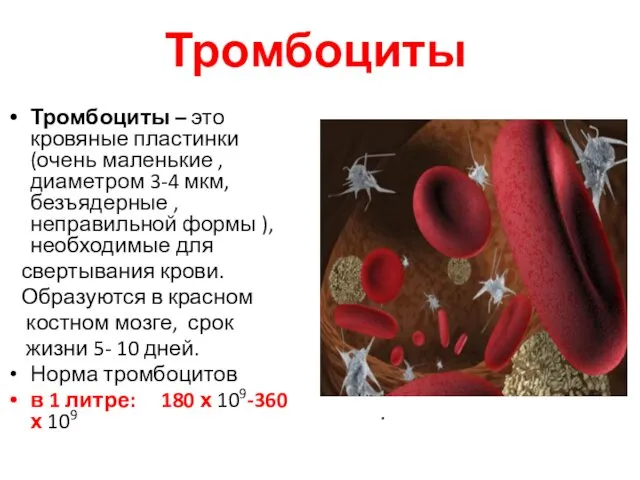 Тромбоциты . Тромбоциты – это кровяные пластинки (очень маленькие , диаметром 3-4 мкм,