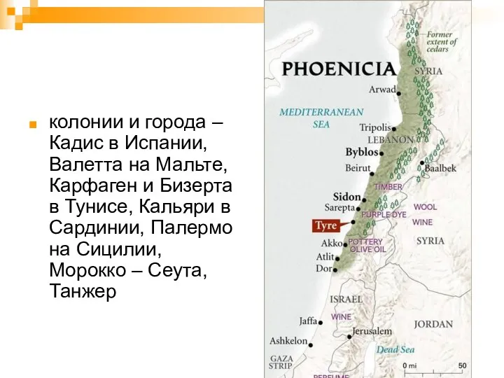 колонии и города – Кадис в Испании, Валетта на Мальте,