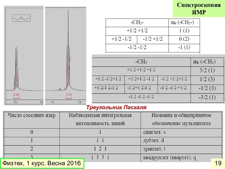 Треугольник Паскаля Физтех, 1 курс. Весна 2016 Спектроскопия ЯМР