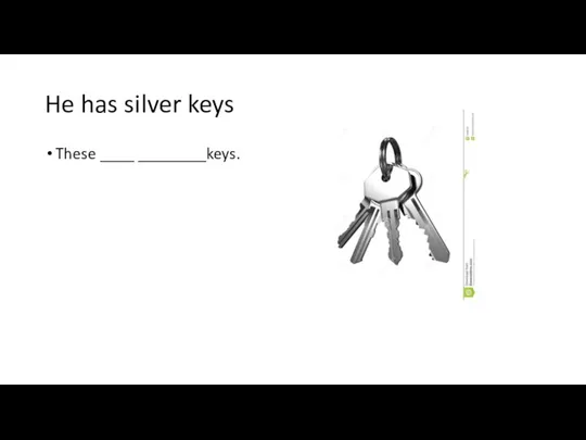 He has silver keys These ____ ________keys.