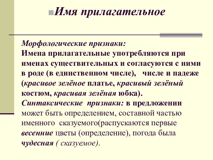 Имя прилагательное Морфологические признаки: Имена прилагательные употребляются при именах существительных