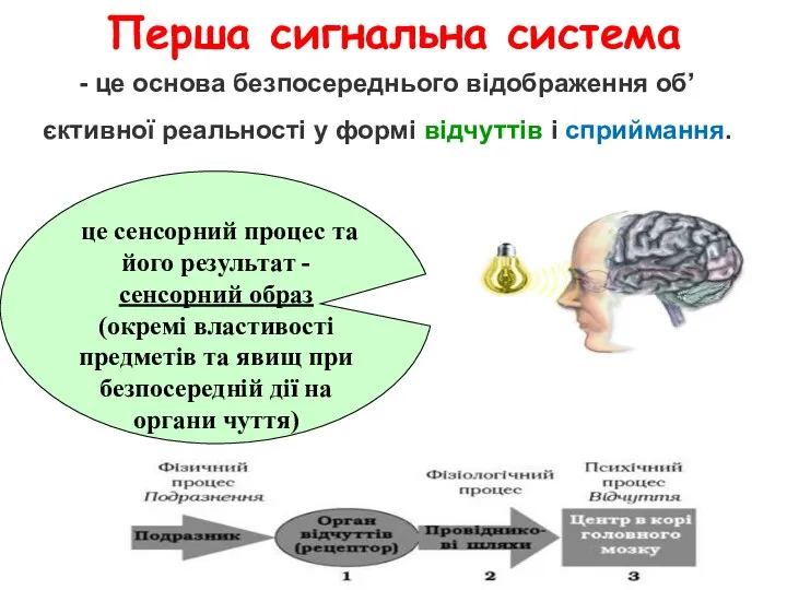 Перша сигнальна система - це основа безпосереднього відображення об’єктивної реальності