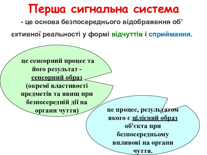 Перша сигнальна система - це основа безпосереднього відображення об’єктивної реальності