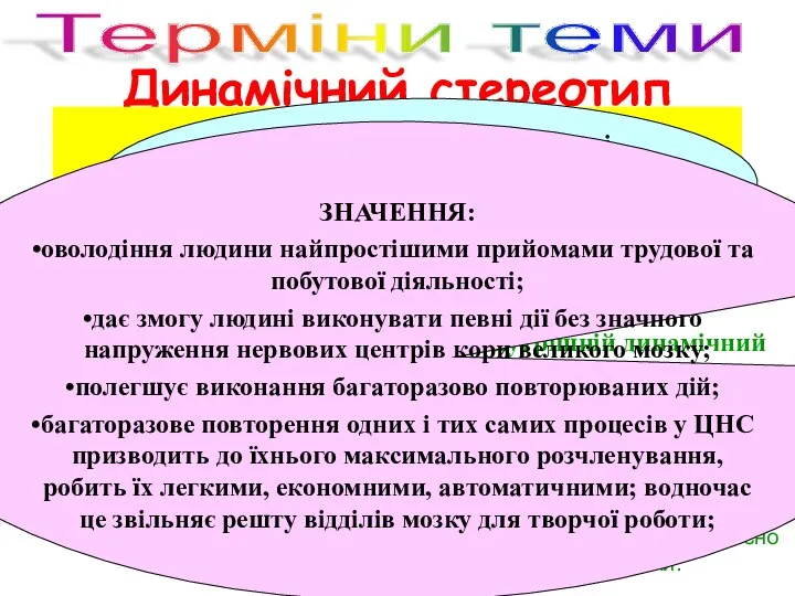 Динамічний стереотип це відносно стійка система умовно-рефлекторних реакцій організму на