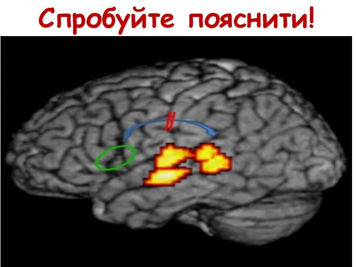 Спробуйте пояснити!