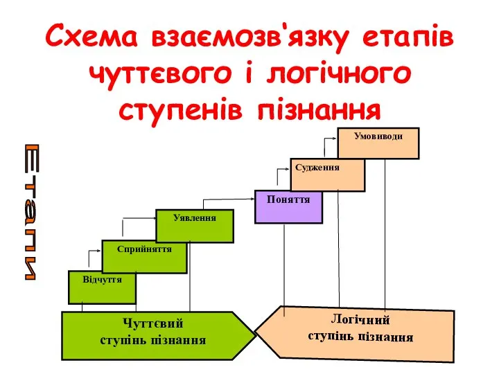 Схема взаємозв‘язку етапів чуттєвого і логічного ступенів пізнання